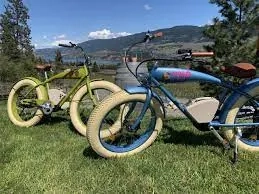 Okanagan E-Bike Wine Tour - Gallery 1