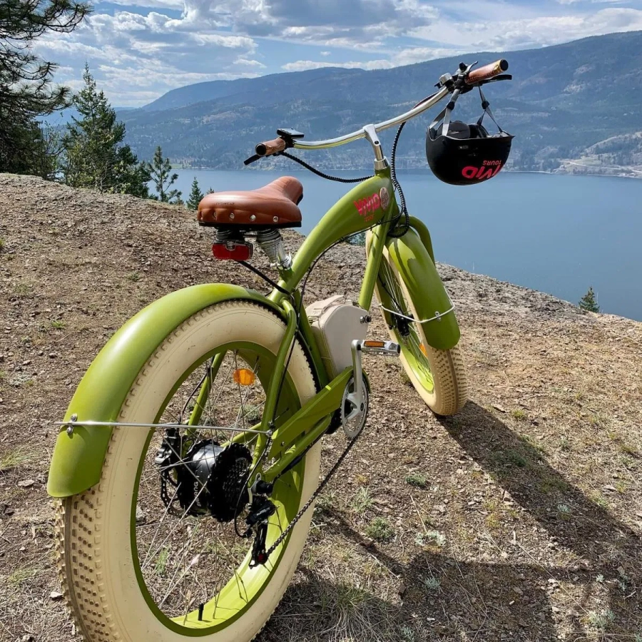 Okanagan E-Bike Wine Tour - Gallery 2