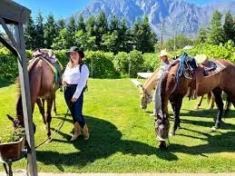 Okanagan Horseback Wine Tour - Gallery 2