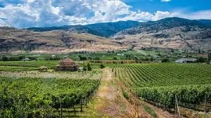 Okanagan Organic Farm Tour - Gallery 1