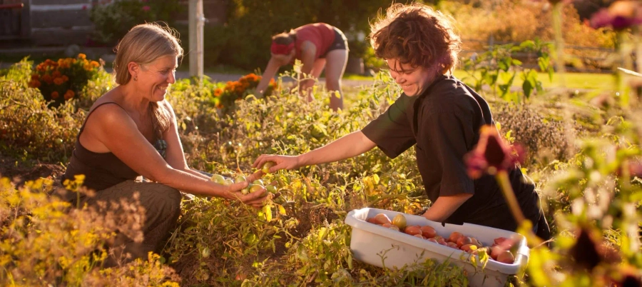 Okanagan Organic Farm Tour - Gallery 2