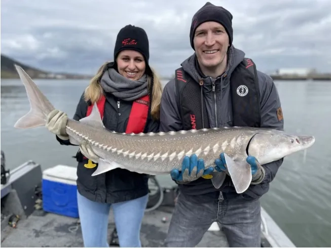 Sturgeon Fishing - Gallery 1