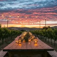 Vineyard to Table Sunset Dining Experience - Gallery 1