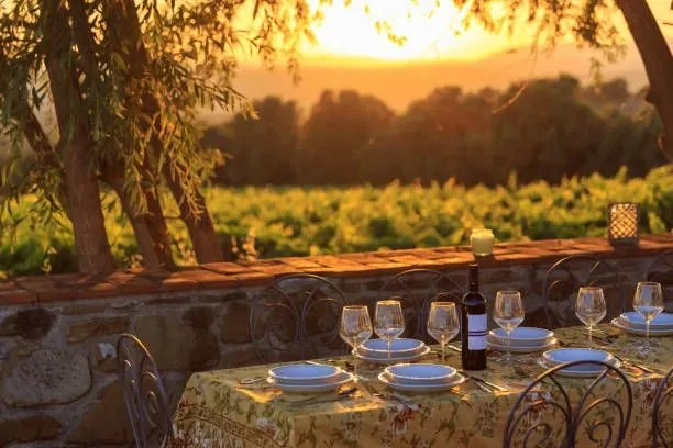 Vineyard to Table Sunset Dining Experience - Gallery 2