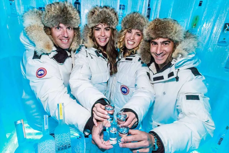 Vodka Ice Room - Gallery 2