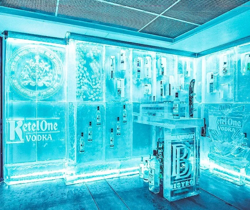 Vodka Ice Room - Gallery 3