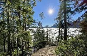 Okanagan Wildflower Hiking Tour - Gallery 2