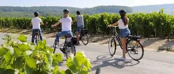 Wine Tour Cycling Adventure - Gallery 1