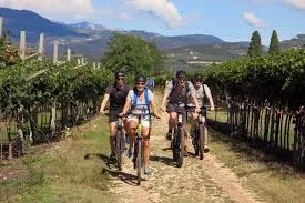 Wine Tour Cycling Adventure - Gallery 2
